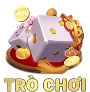 Biểu tượng Bảo vệ quyền riêng tư